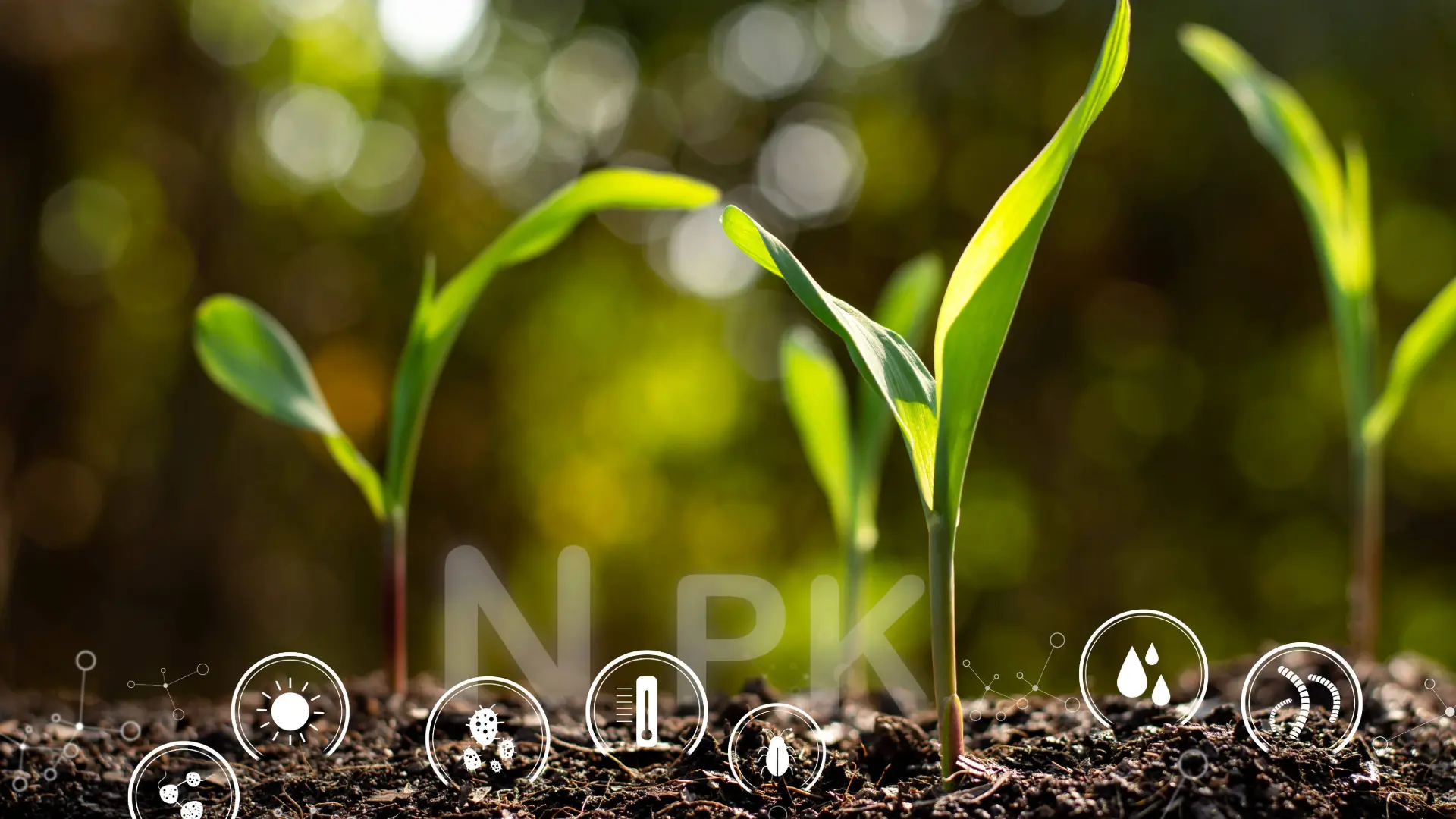 Healthier Crops and Soil
