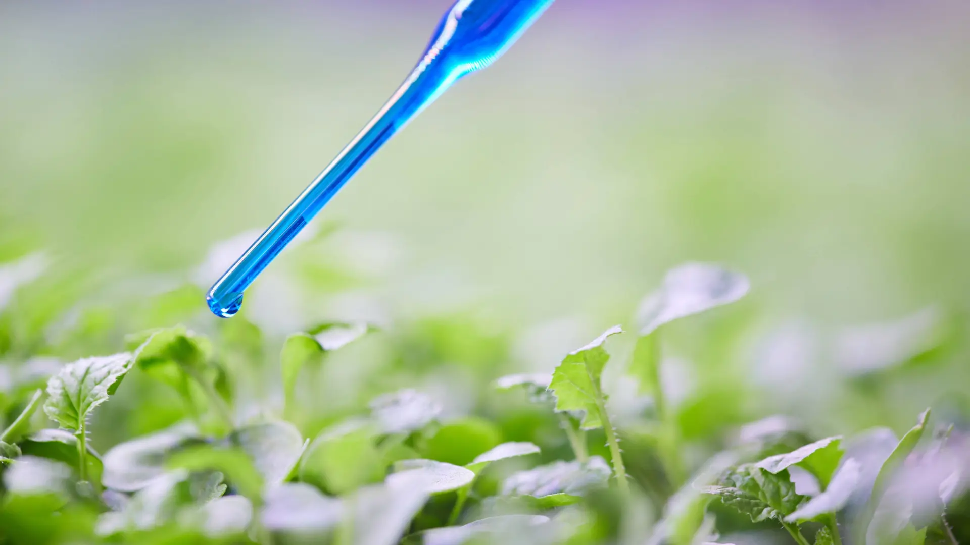 Liquid Fertilization Liquid Fertilization