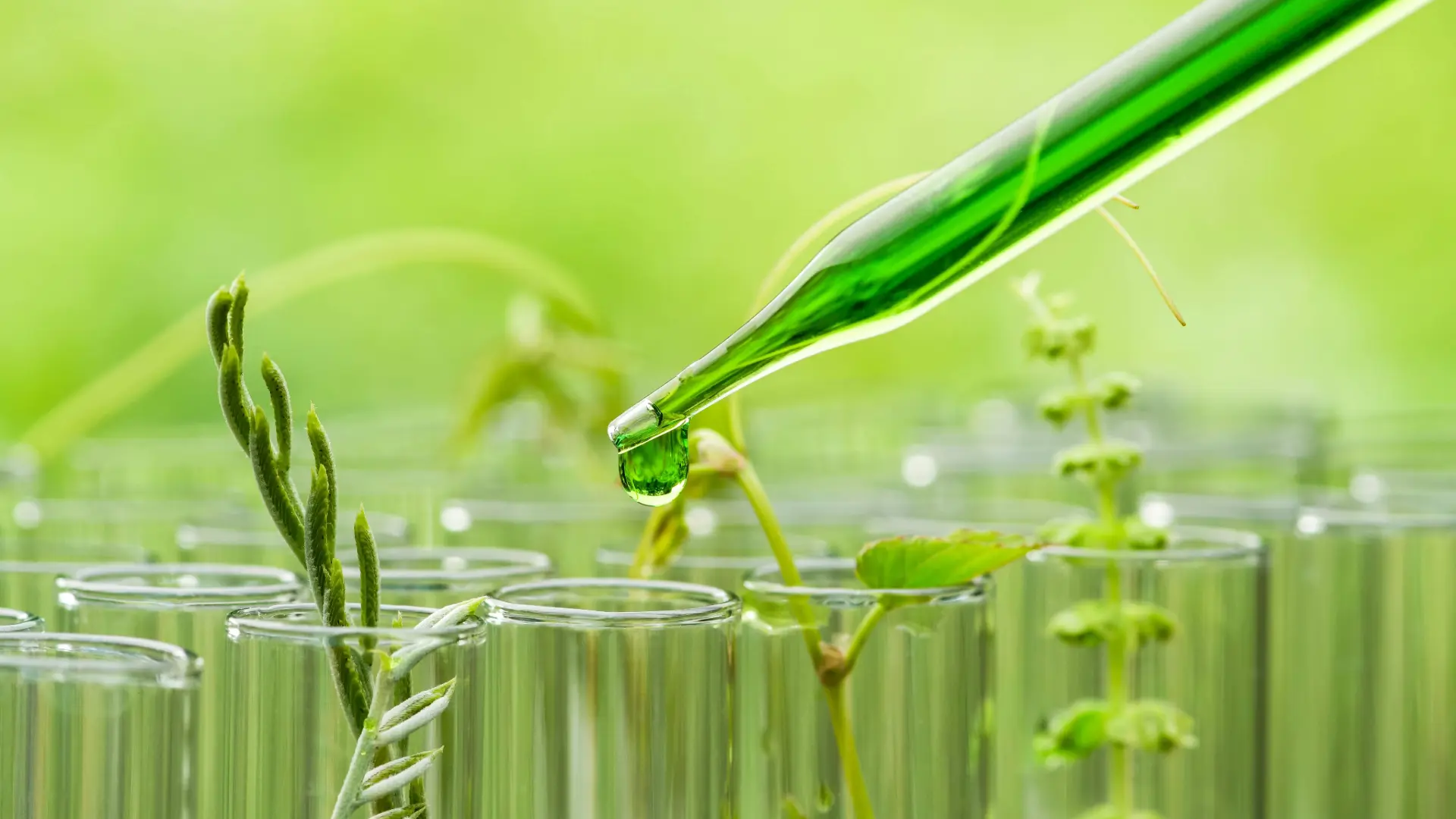 Microbial and Nano-Based Technologies