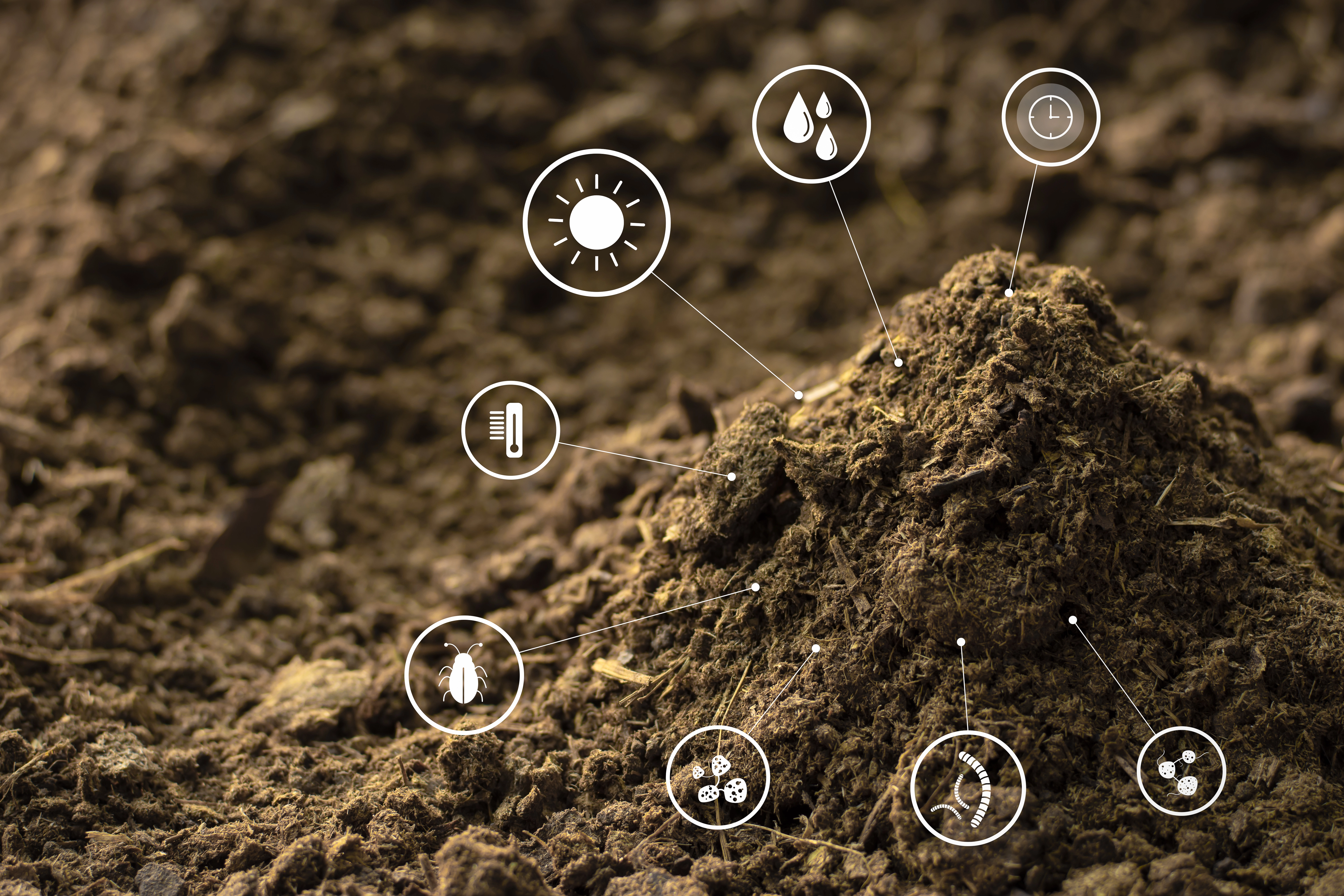Microtechnologies Are Changing the Soil Game