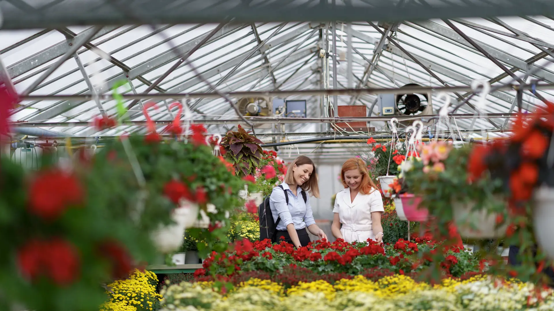Modern Greenhouses
