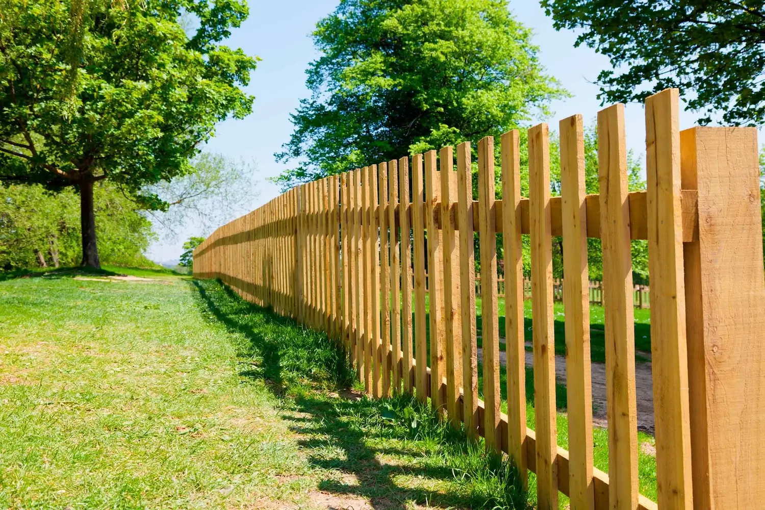 Choosing the right garden fence: Ideas for privacy, style, and security