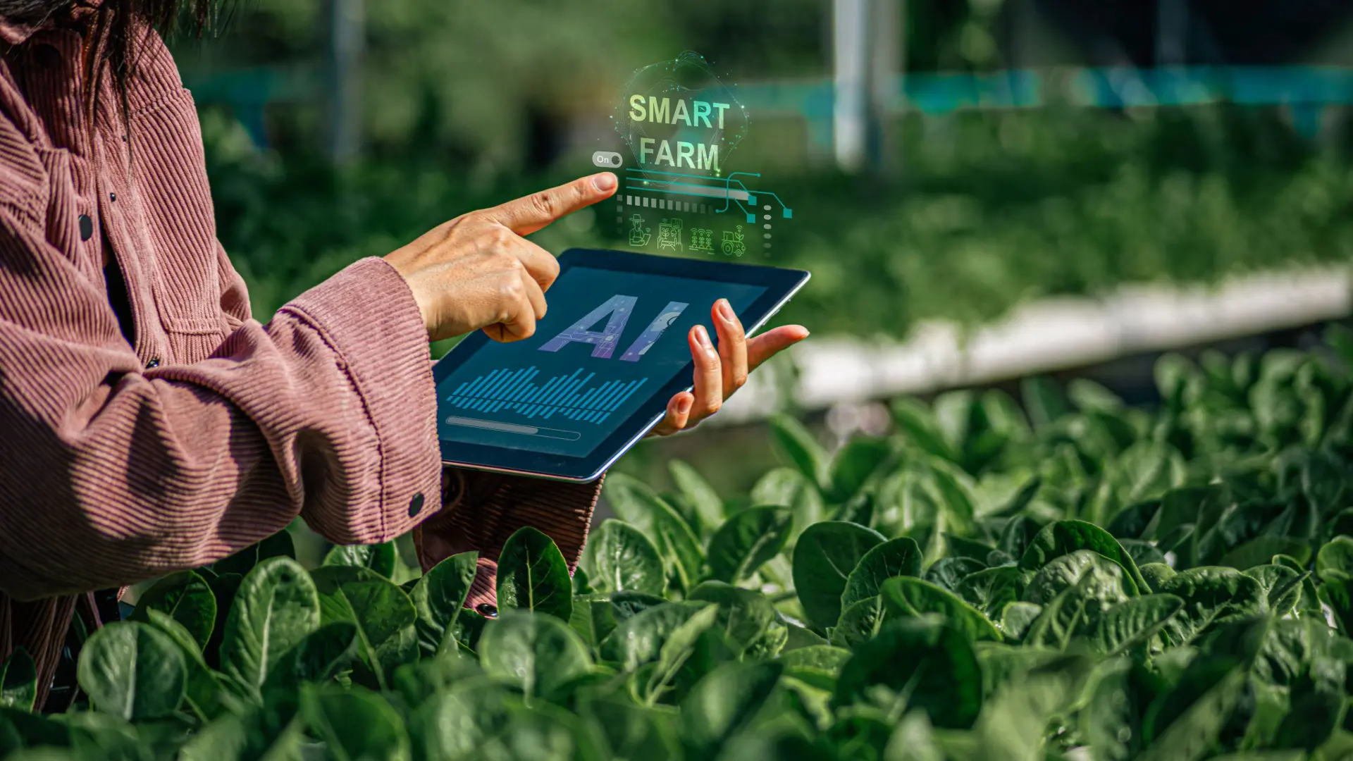 Robotics and Smart Farming