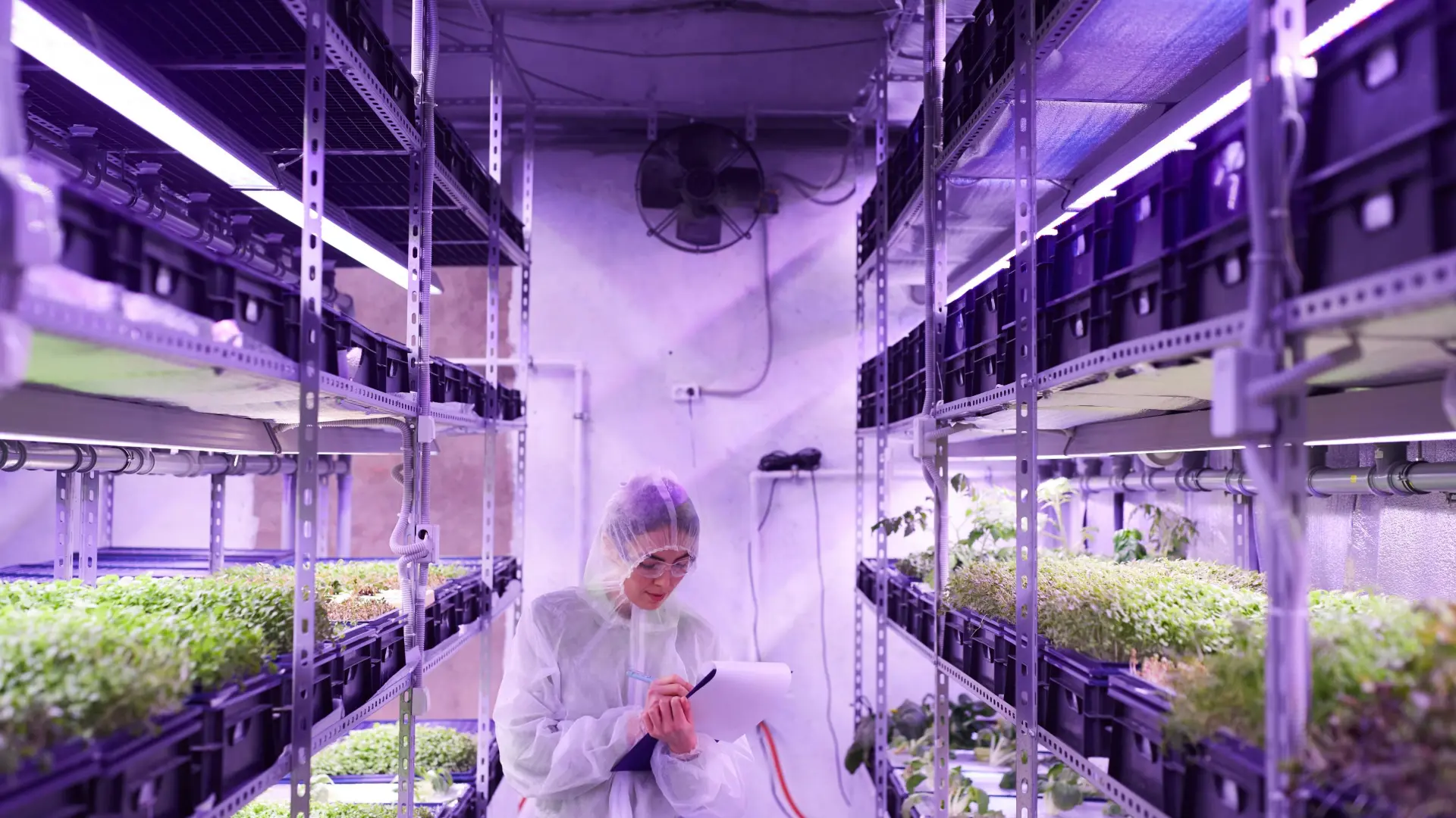 Smarter Farming in Compact Spaces