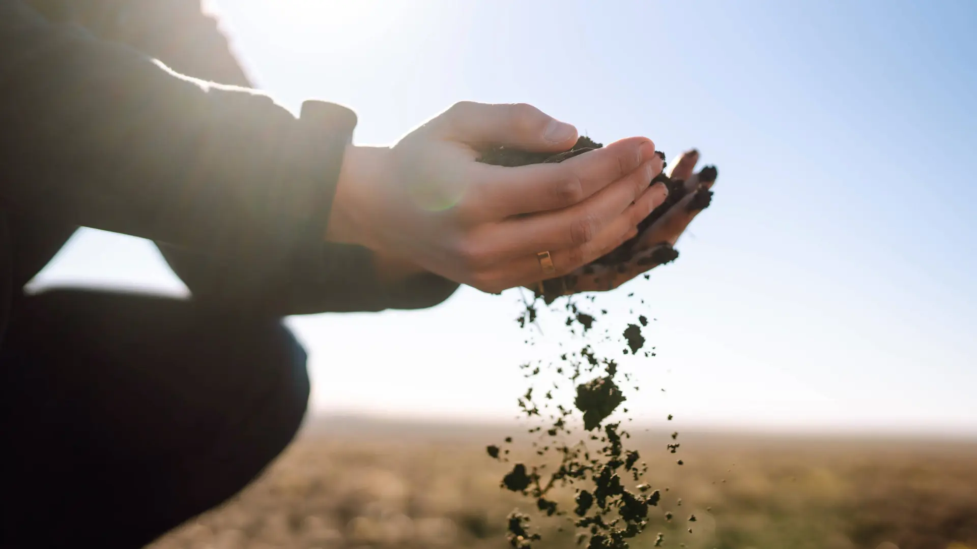 Soil Health and Crop Yields