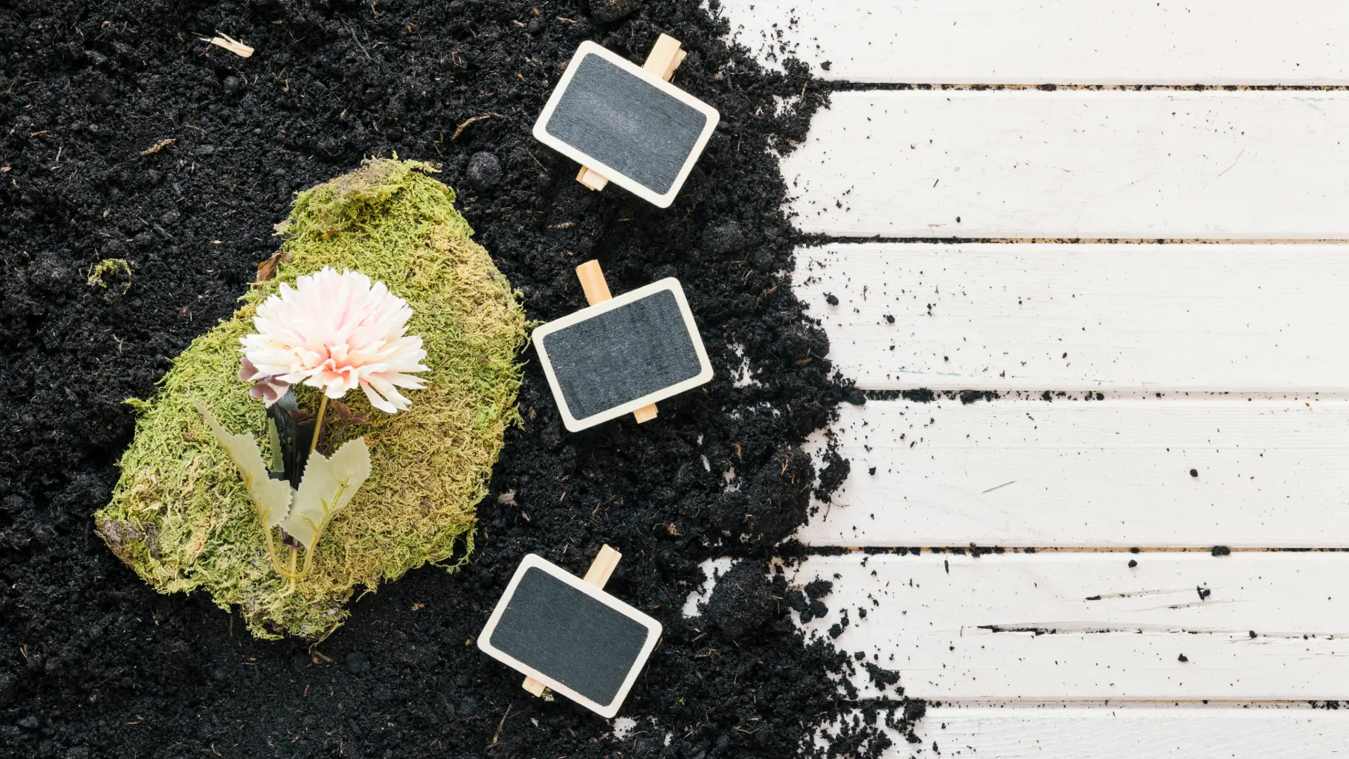 Sustainable Soil and Plant Solutions