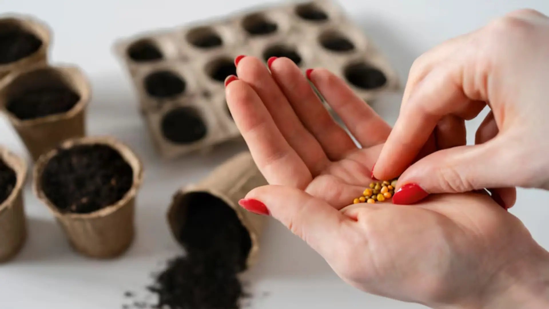 Unlocking Soil Potential