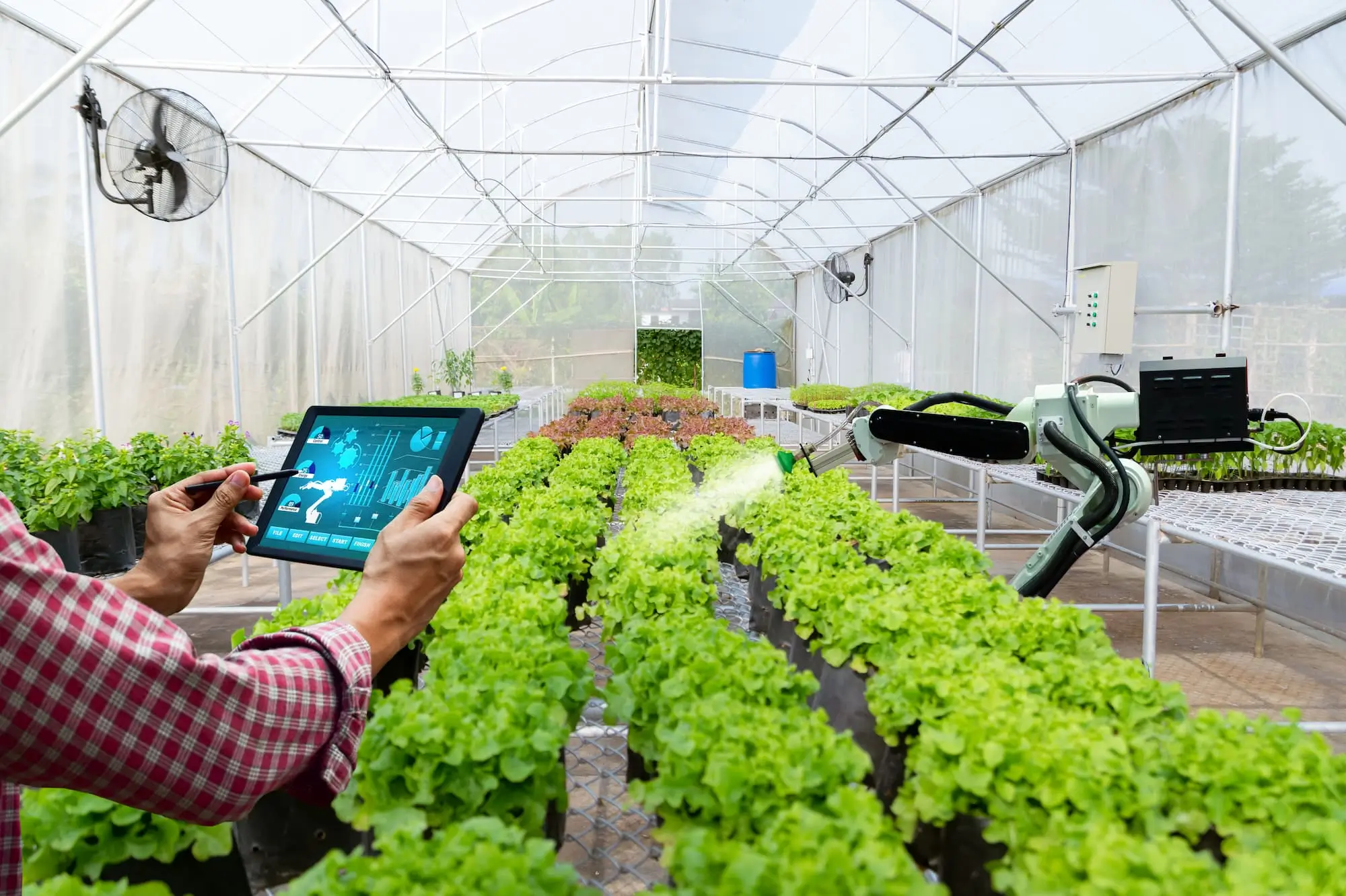 Why every grower or homeowner should have a humidity sensor