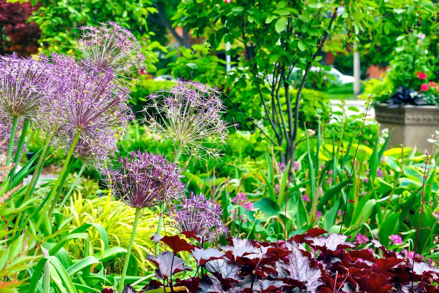 15 shade-loving plants to brighten dark garden corners naturally