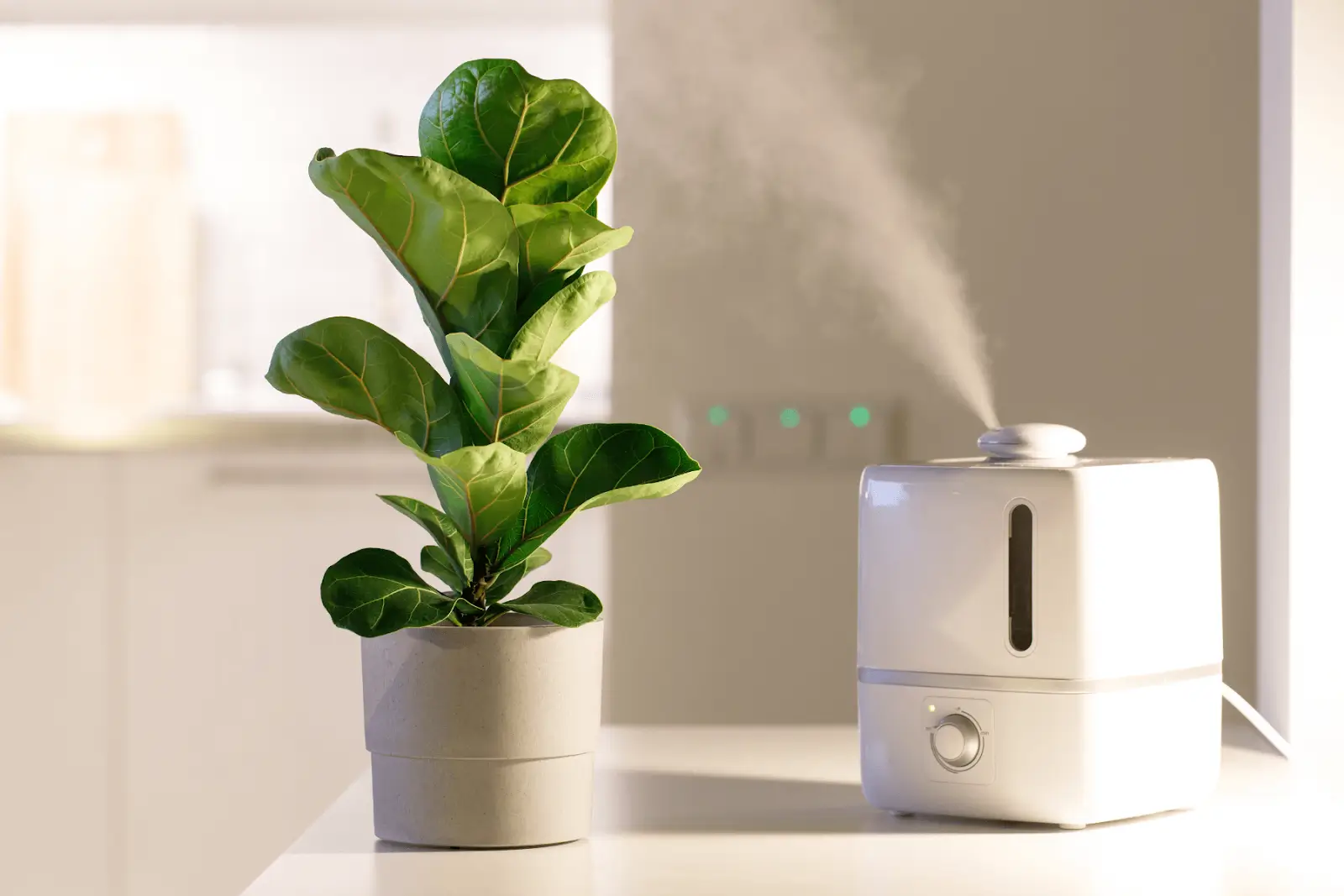 Do ultrasonic humidifiers help plants thrive? A gardeners guide to moisture control
