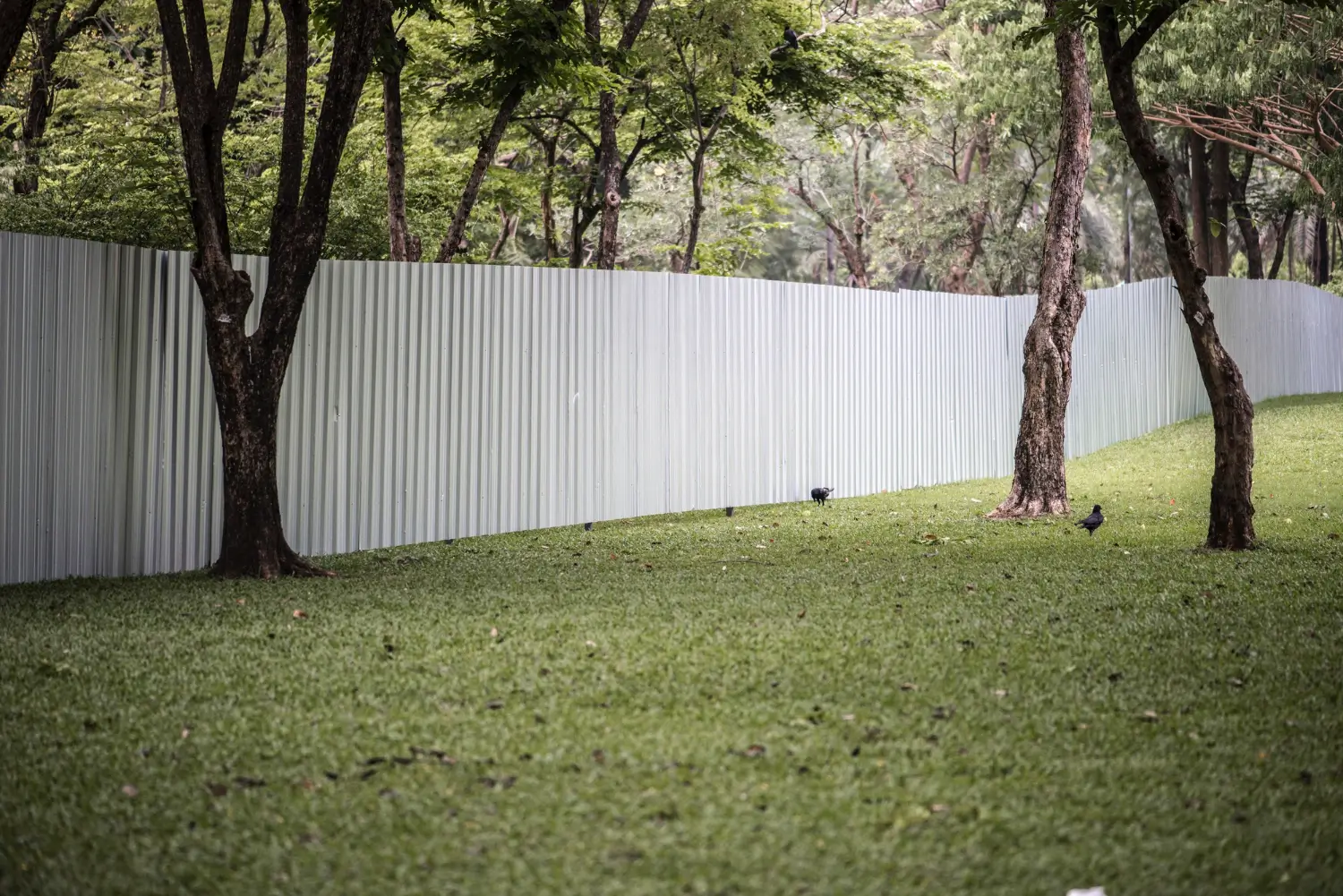 Plastic fencing for backyards: Affordable, durable, and low-maintenance