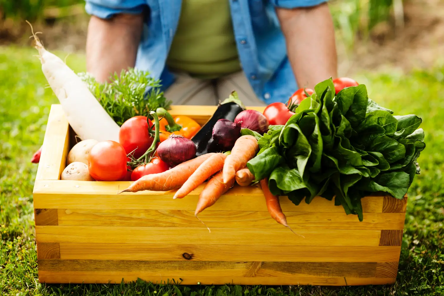 Top Vegetables and Herbs to Grow in Your Vego Garden
