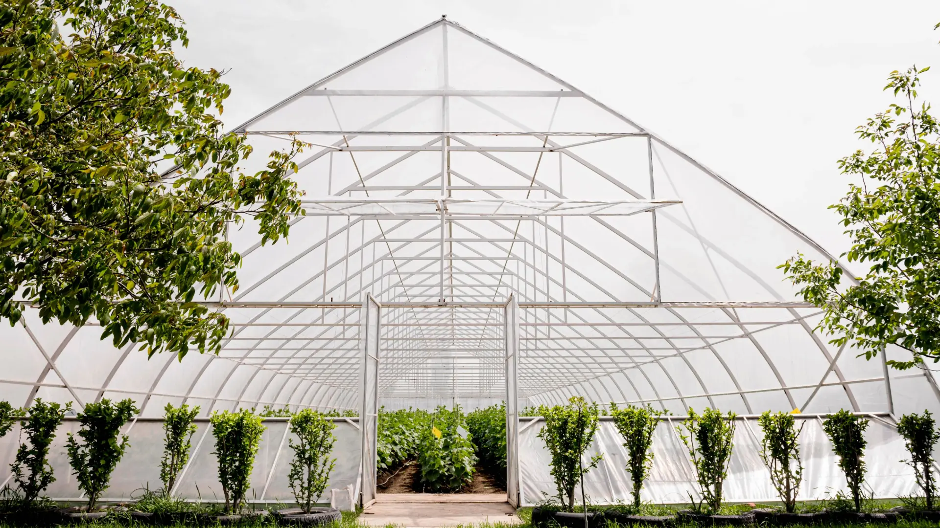 Modern Greenhouse Solutions