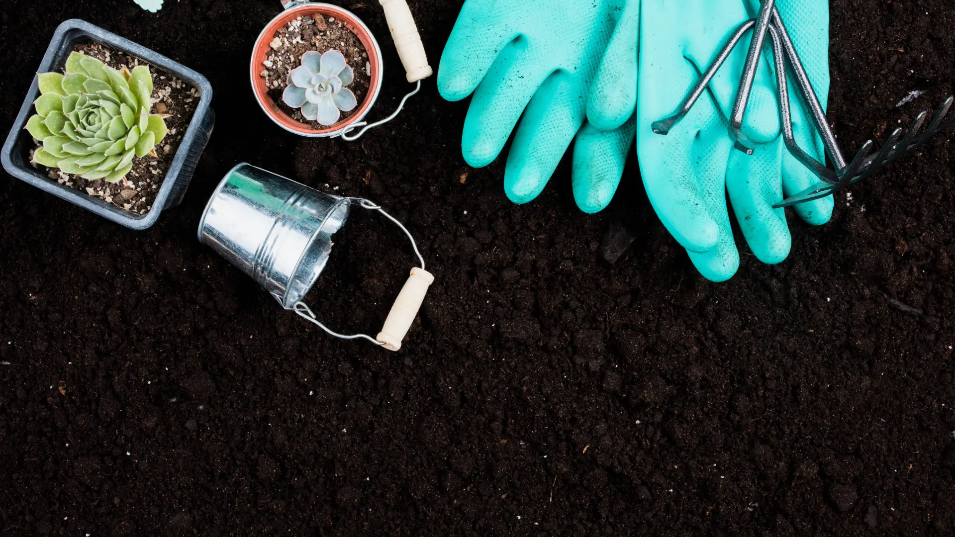Reviving Soil and Boosting Yields