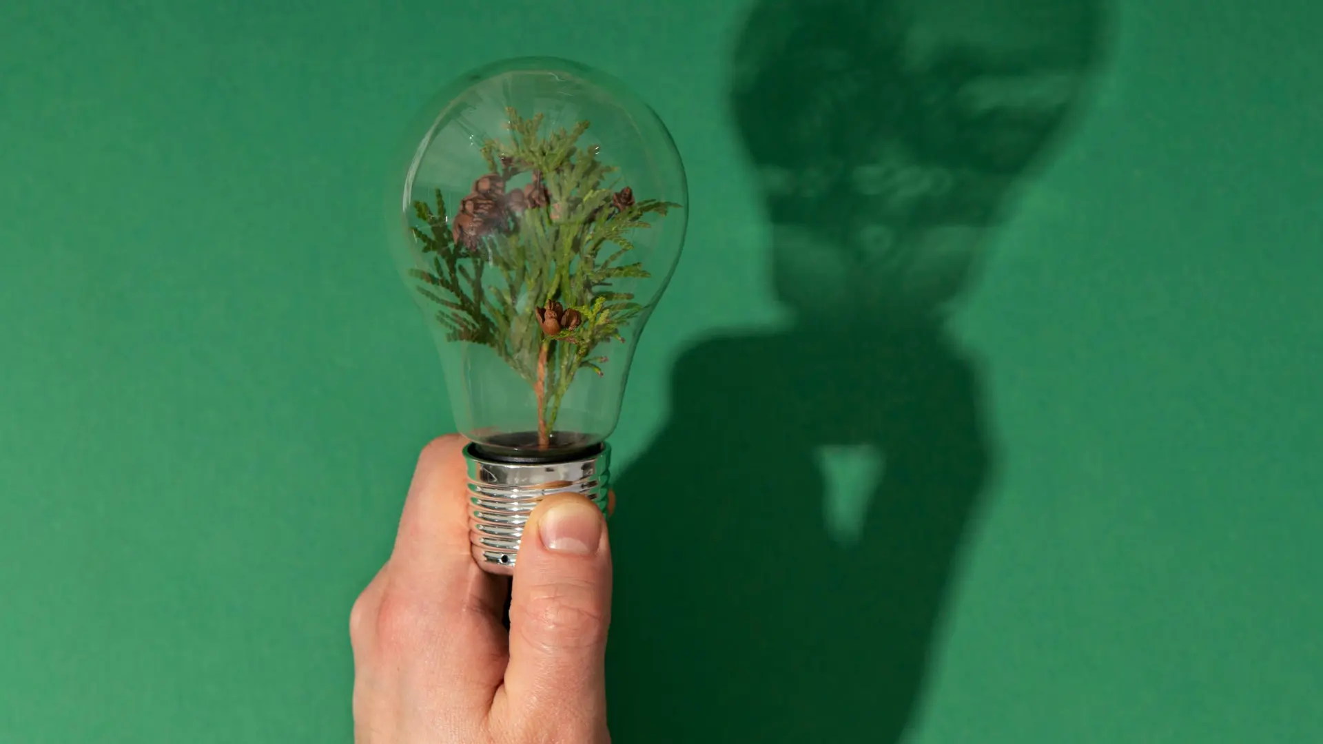 Smart Solutions for Greener Growing Smart Solutions for Greener Growing