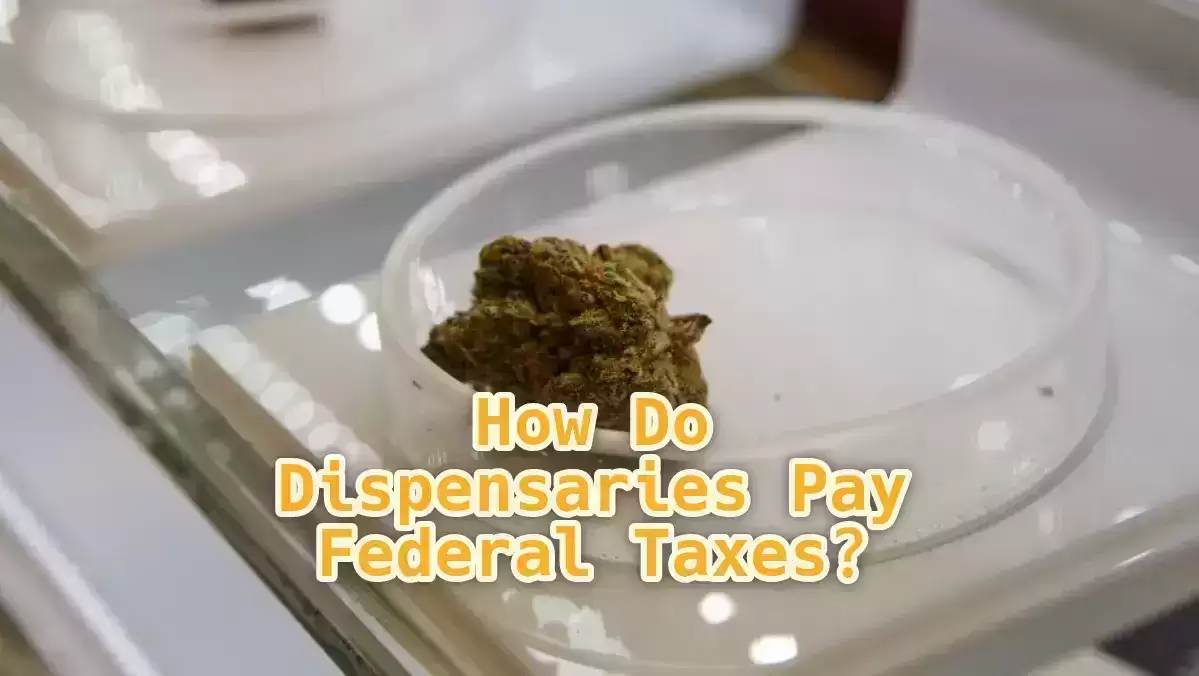 How dispensaries pay federal taxes