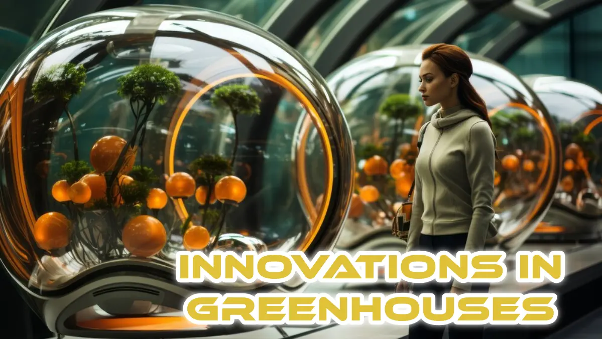 Technological Innovations in Greenhouses