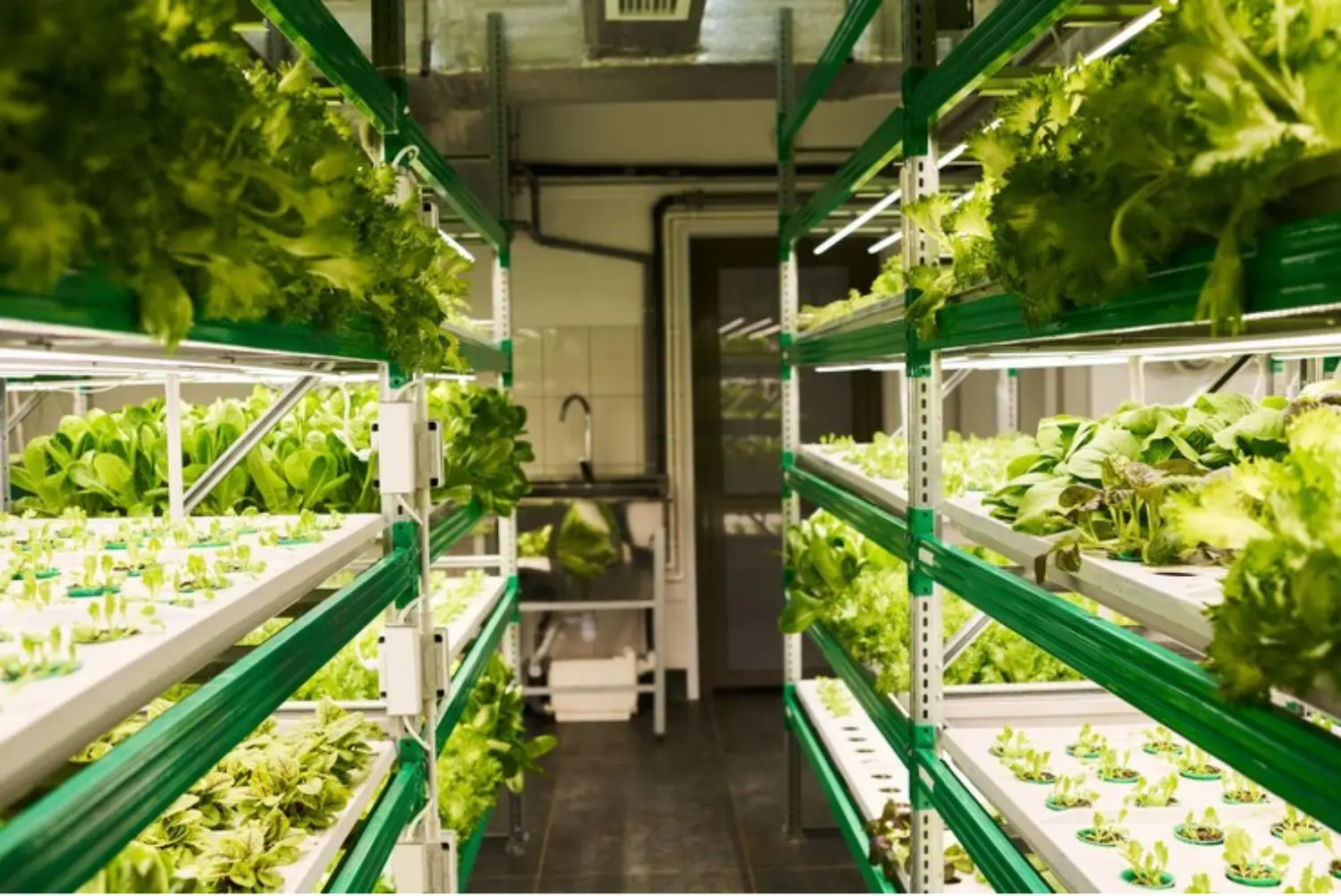 Vertical Hydroponic Container Farming