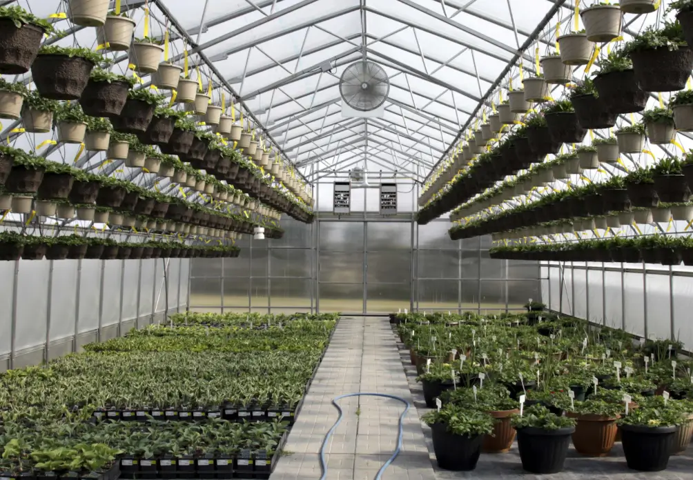 Cooling and Ventilation: Keeping Temperatures Down
