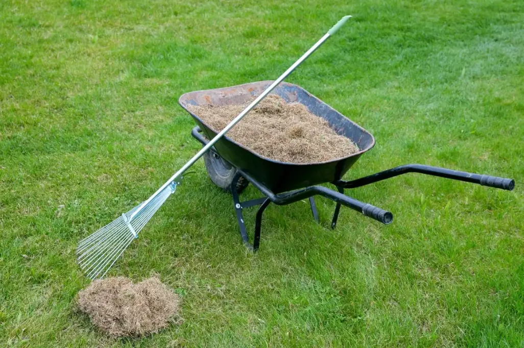 Repairing Lawns and Garden Beds After Heavy Rain