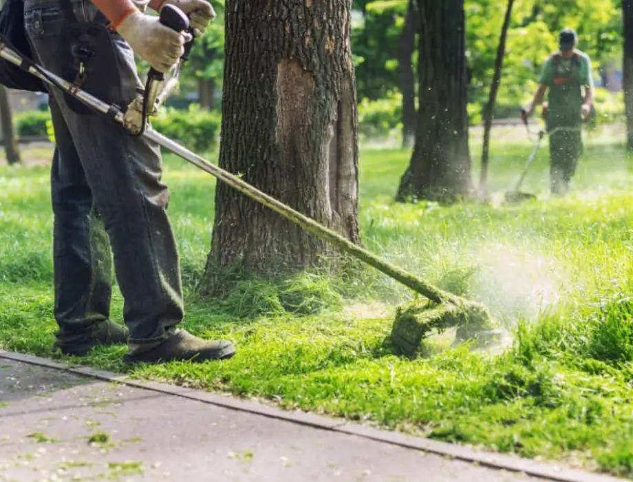 DIY vs When to Hire a Damaged Lawn or Garden Repair Professional