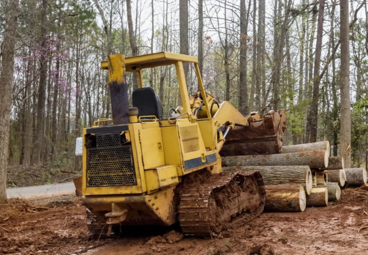 The Land Clearing Process Step by Step