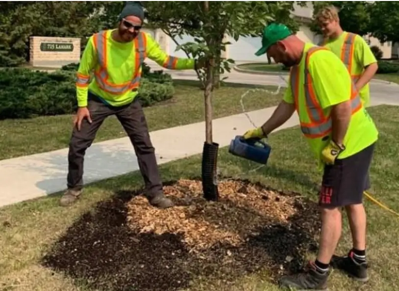 Hire a Trees and Shrubs Planting Professional