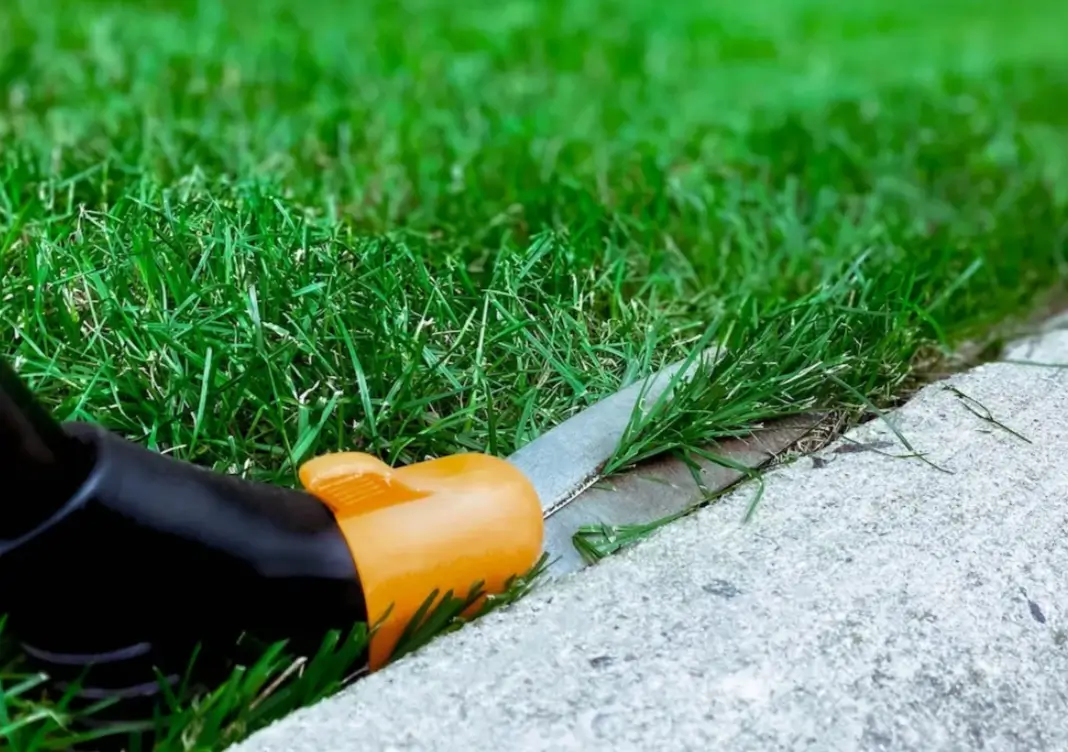 Step-by-Step Lawn Edging Process