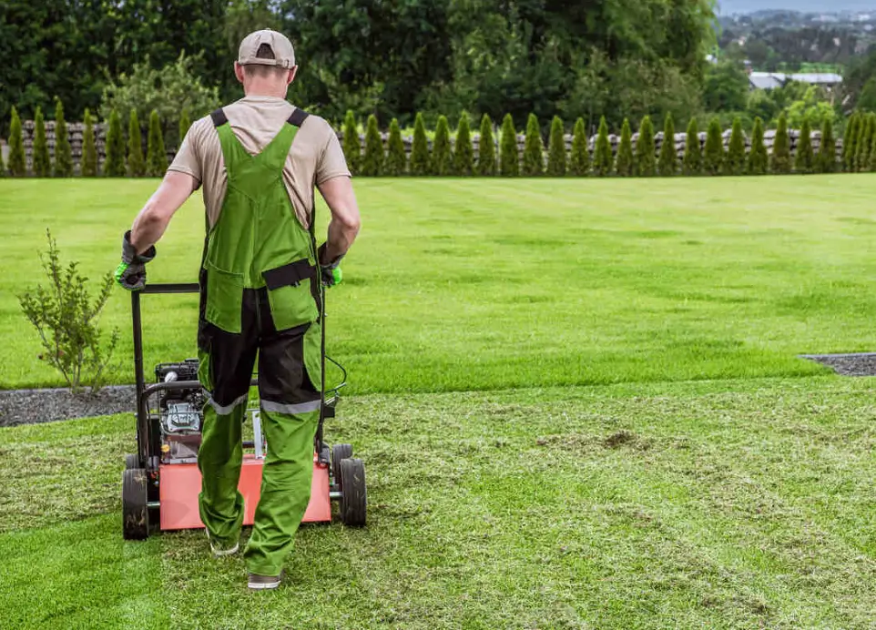 Aerate Your Lawn for Thicker, Healthier Grass