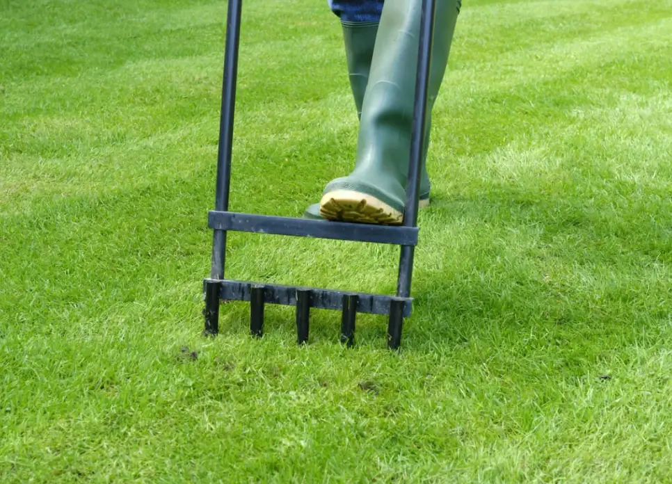 When to Hire a Lawn Aeration Professional