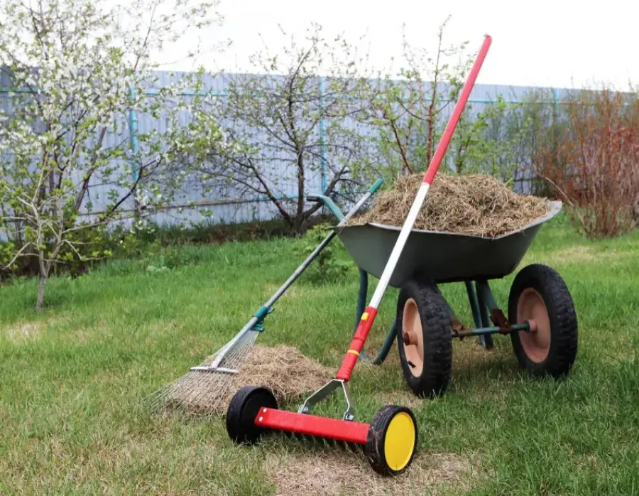Tools for Dethatching