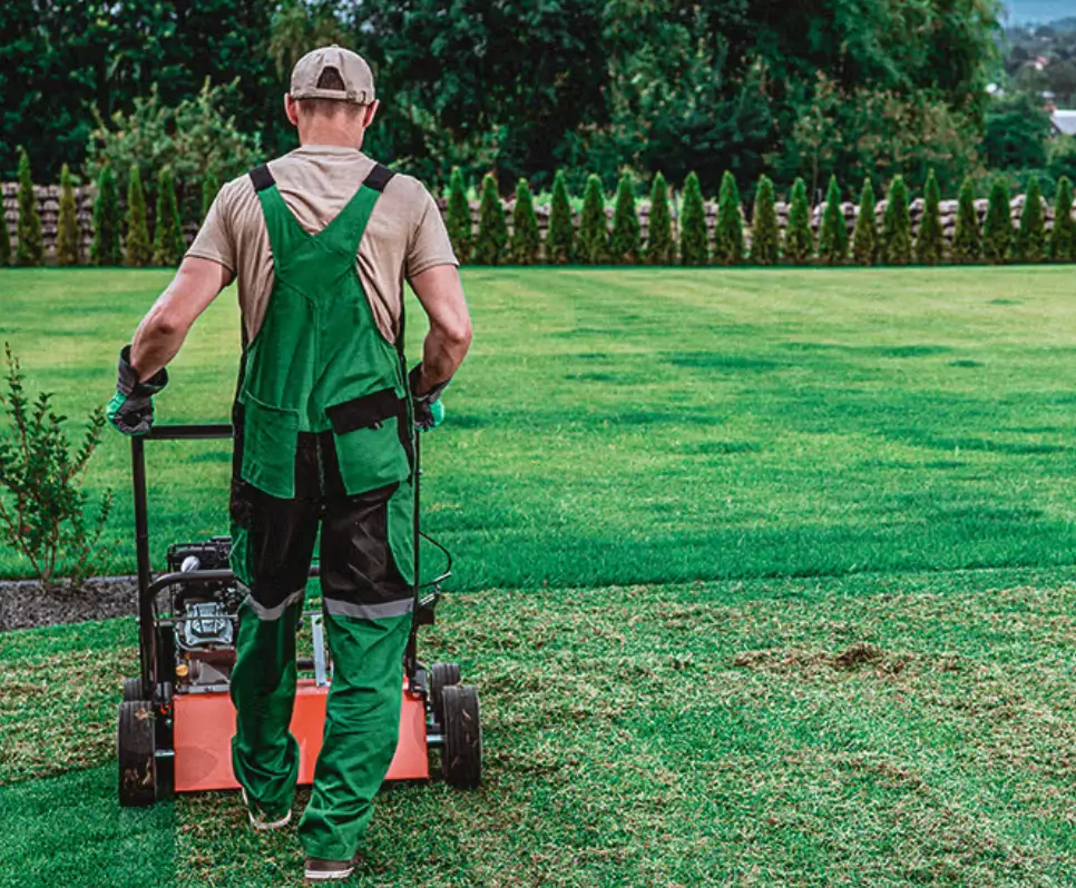 How to Hire a Lawn Dethatching Professional