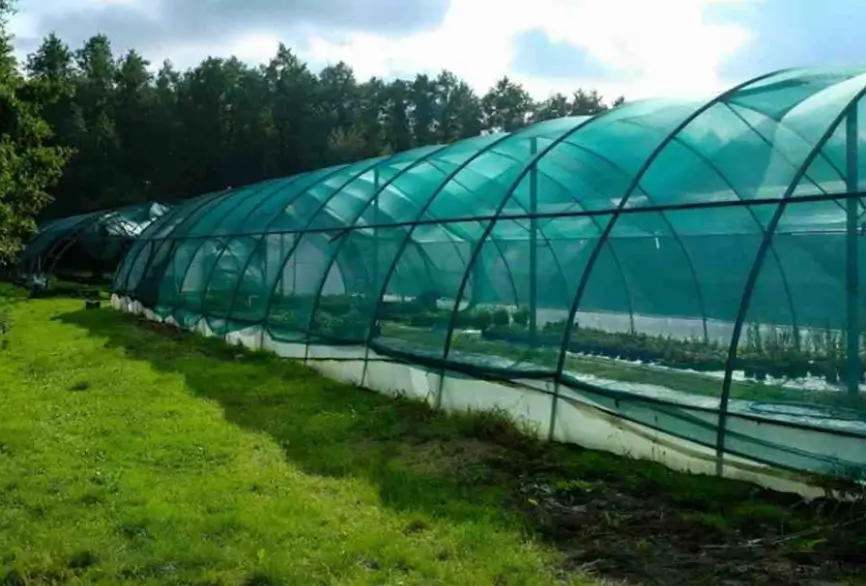 Tips for Different Climates and Plant Types