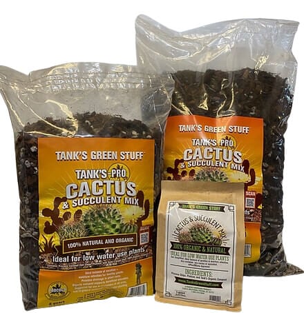 Succulent Mix - Tanks Green Stuff