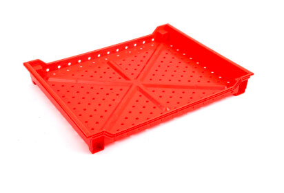 Mini Berry Tray