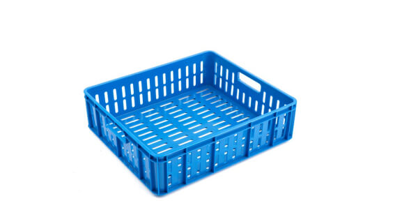 Mushroom Tray