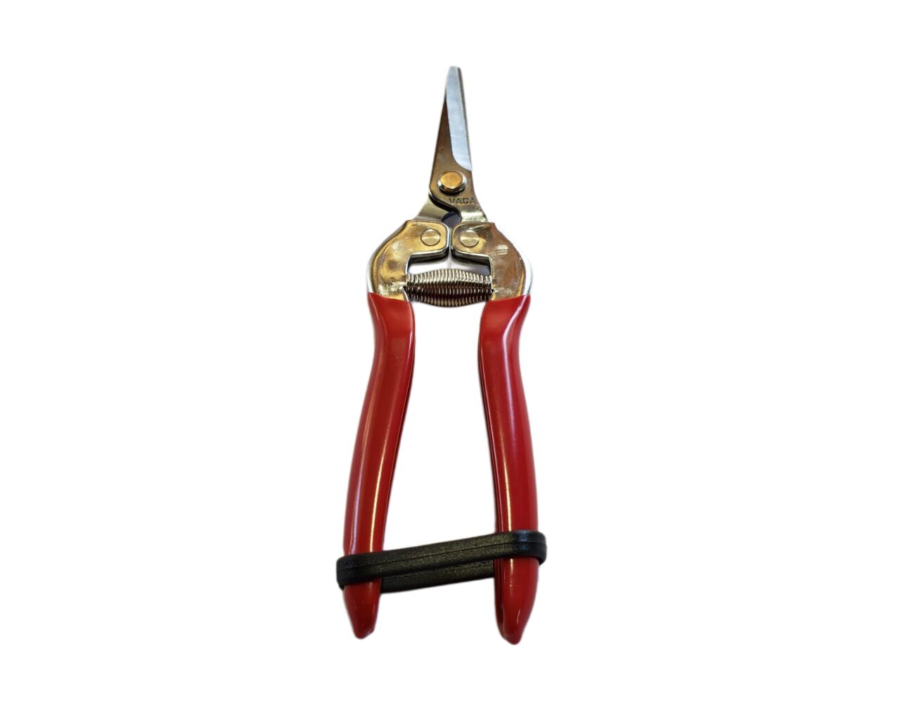 Vaca Straight Stainless Steel Thining Shear