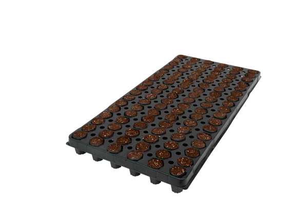 102CT OASIS® Fertiss® PlugTray (25x40mm) 384/PLT (39168)