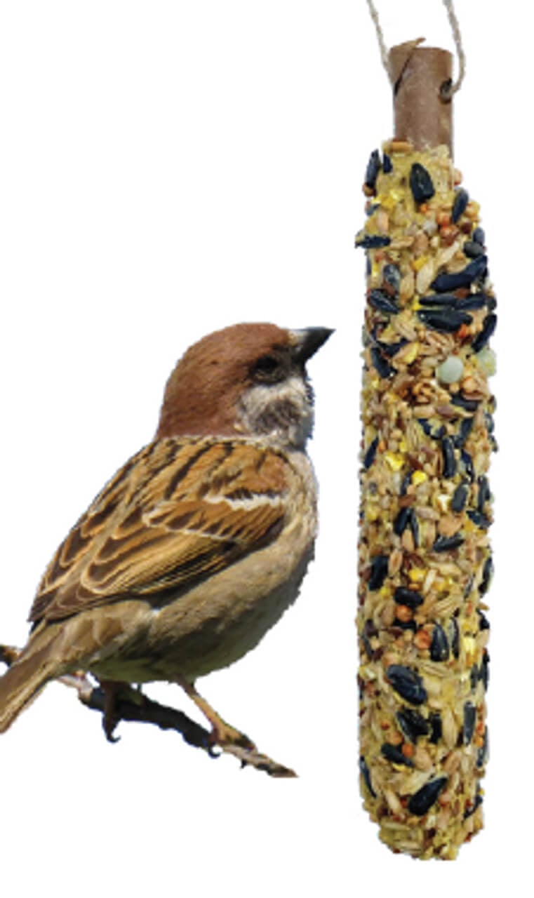A&E Cage Garden & Fun Backyard Bird Single Seed Stick Multi-Colored