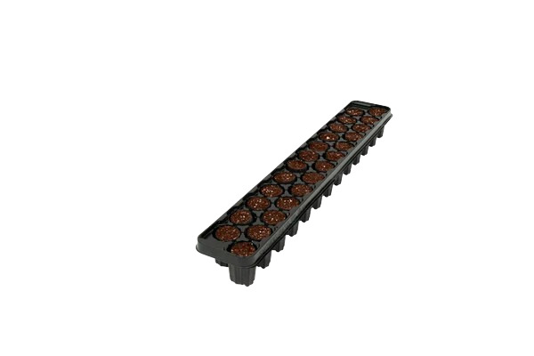 25CT OASIS® Fertiss® PlugStrip (30X40mm) 1192/PLT (29800)