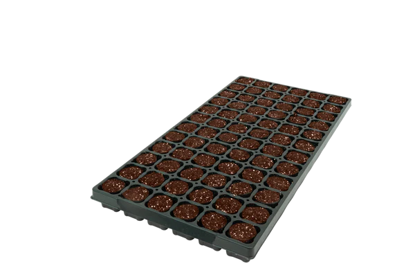 72CT Tall OASIS® Fertiss® PlugTray (32X40mm) 384/PLT (27648)