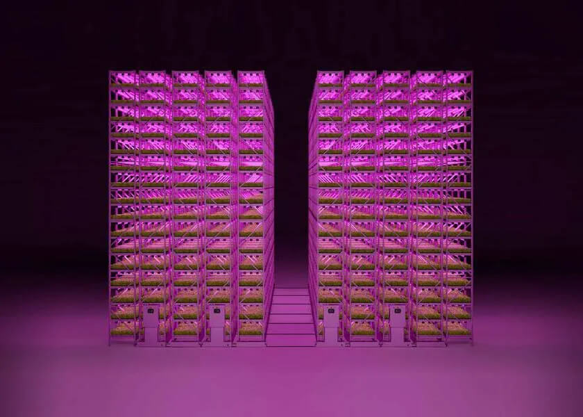 Vertical Farming Systems: High-Density Storage Solutions for Maximizing Space and Yield