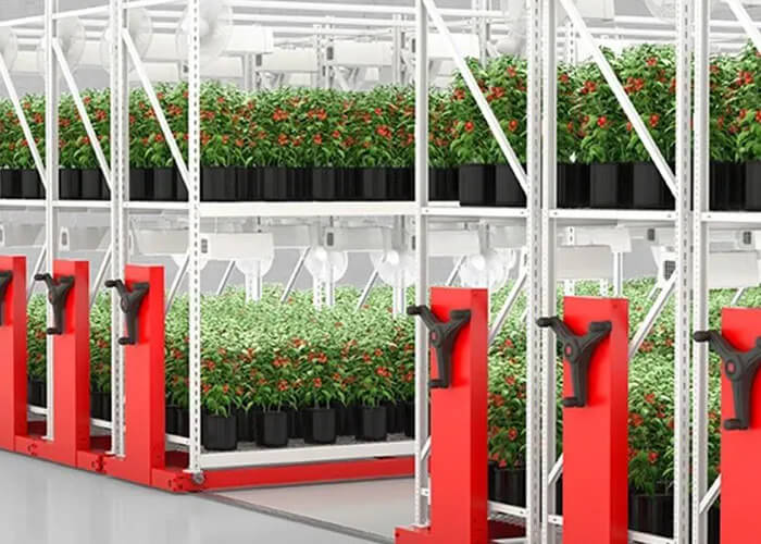 Ag-Tech Vertical Cultivation