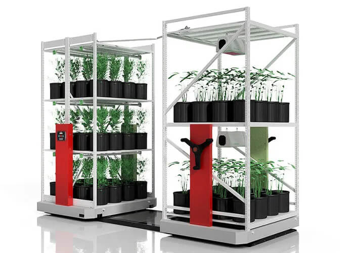 Cannabis Vertical Growing Systems for Cloning Stages