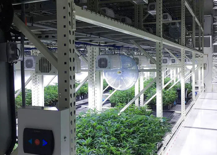 Cannabis Vertical Growing Systems for Vegetation and Flowering Rooms