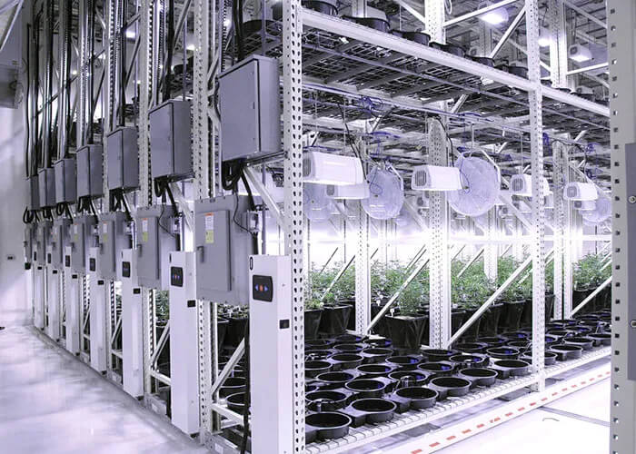 Multi-Tier Mobile Grow Racks