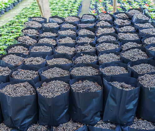 3 Gallon Gro Pro Bags 25/Pack - 20Pack/Case