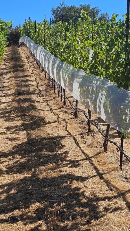 Shade Cloth - 24'' x 3000'- 30% White