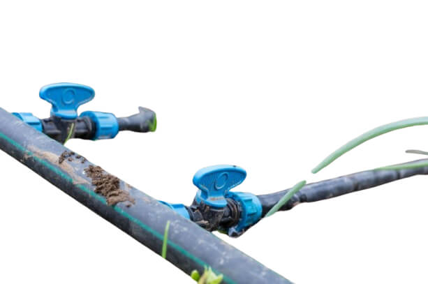 Drip Irrigation System
