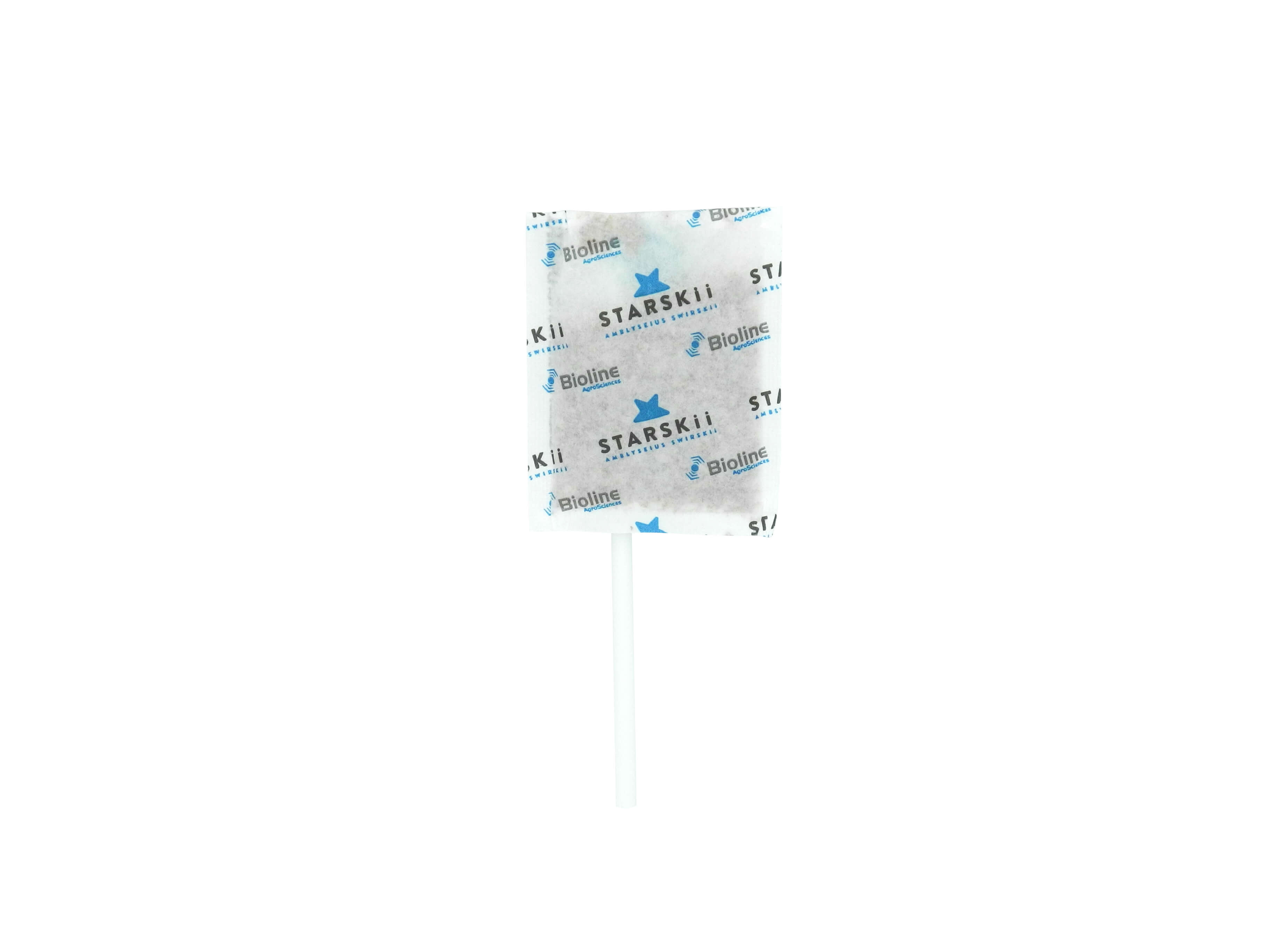 Starskii - 62500 Individuals- 500 Sachet On Stick